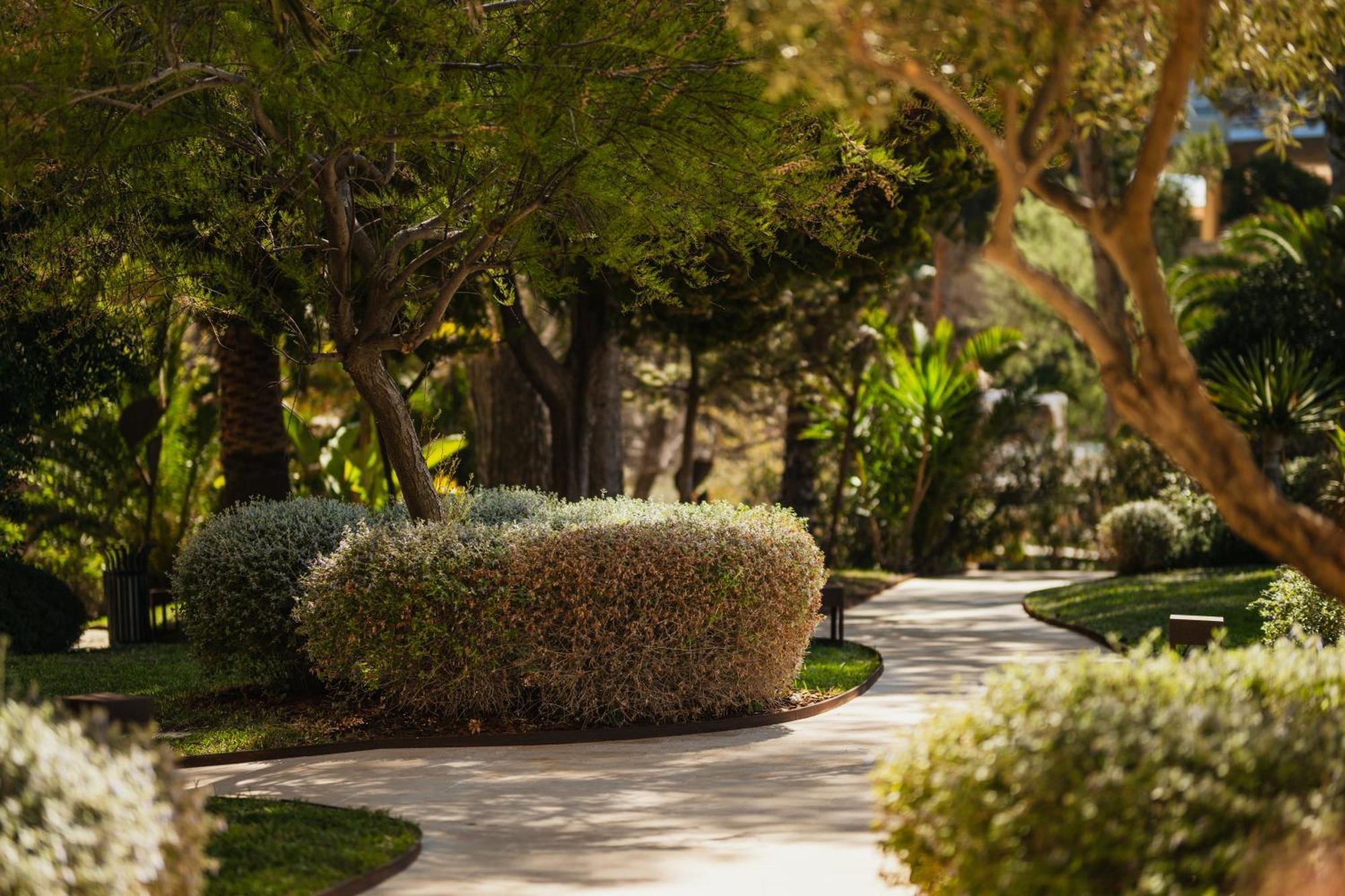Secrets Mallorca Villamil Resort & Spa - Adults Only Peguera Ngoại thất bức ảnh A path at the resort